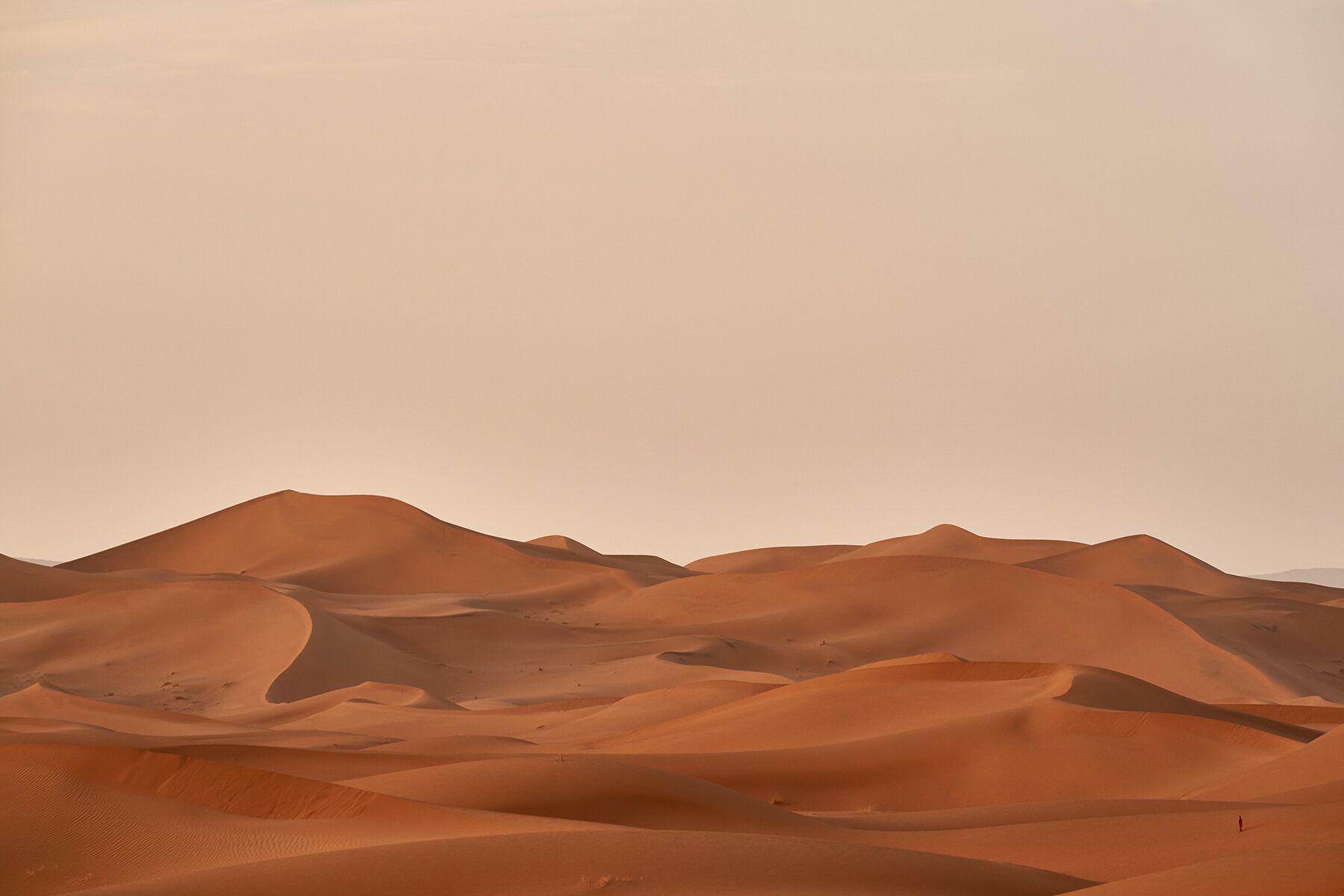 Person standing in desert for set of Desert Warriors EFM Global Film production Transport Freight forwarding
